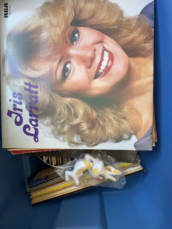 Vinyl Record LP Collection in Blue Storage Bin