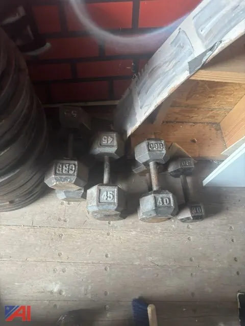 Hex Dumbbells