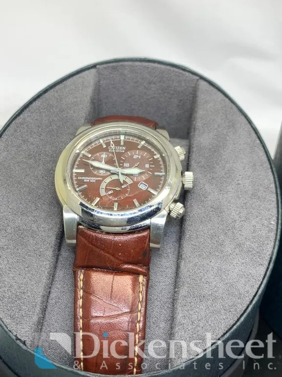 Citizen Men's Watch
