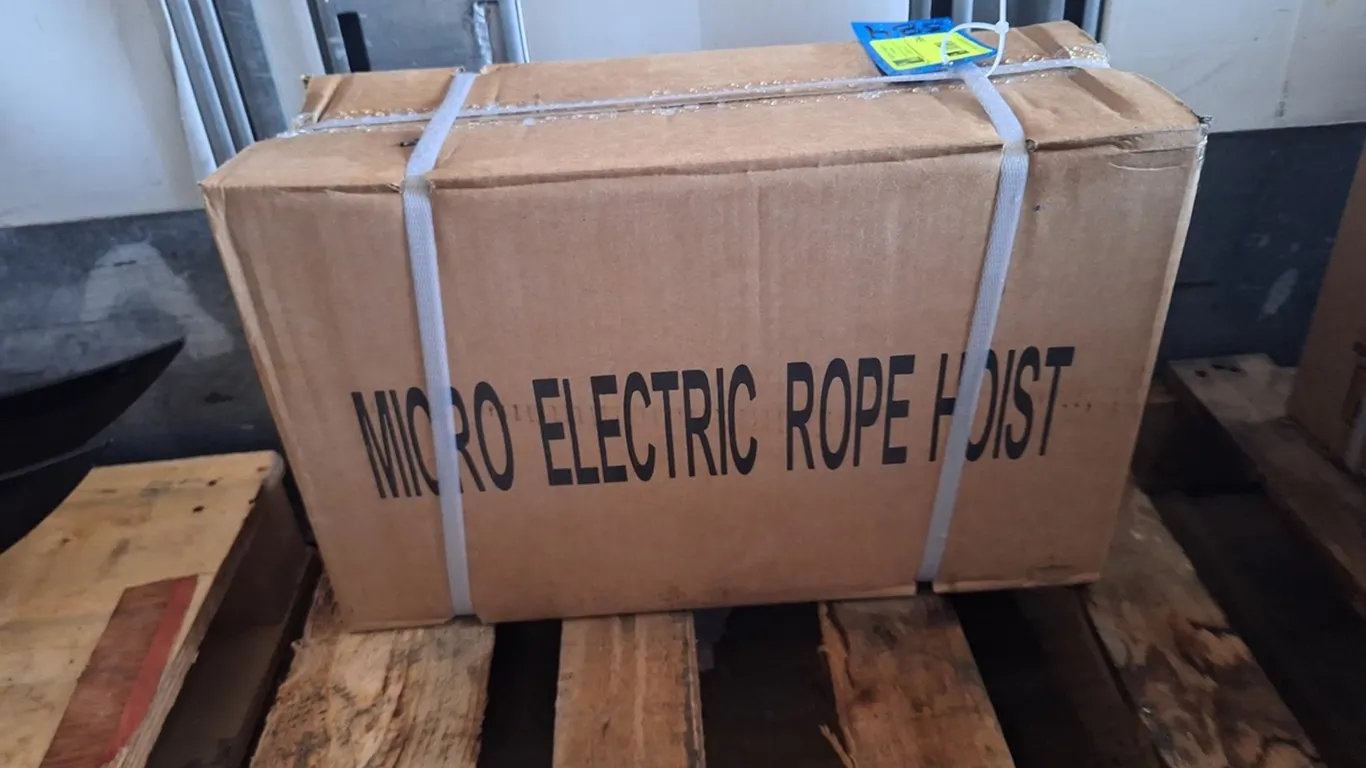 2026 ZJZ Electric Hoist, Unused