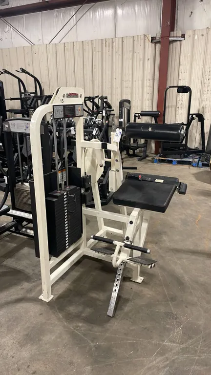 LIFE FITNESS PRO 1 COMMERCIAL BACK EXTENSION MACHINE