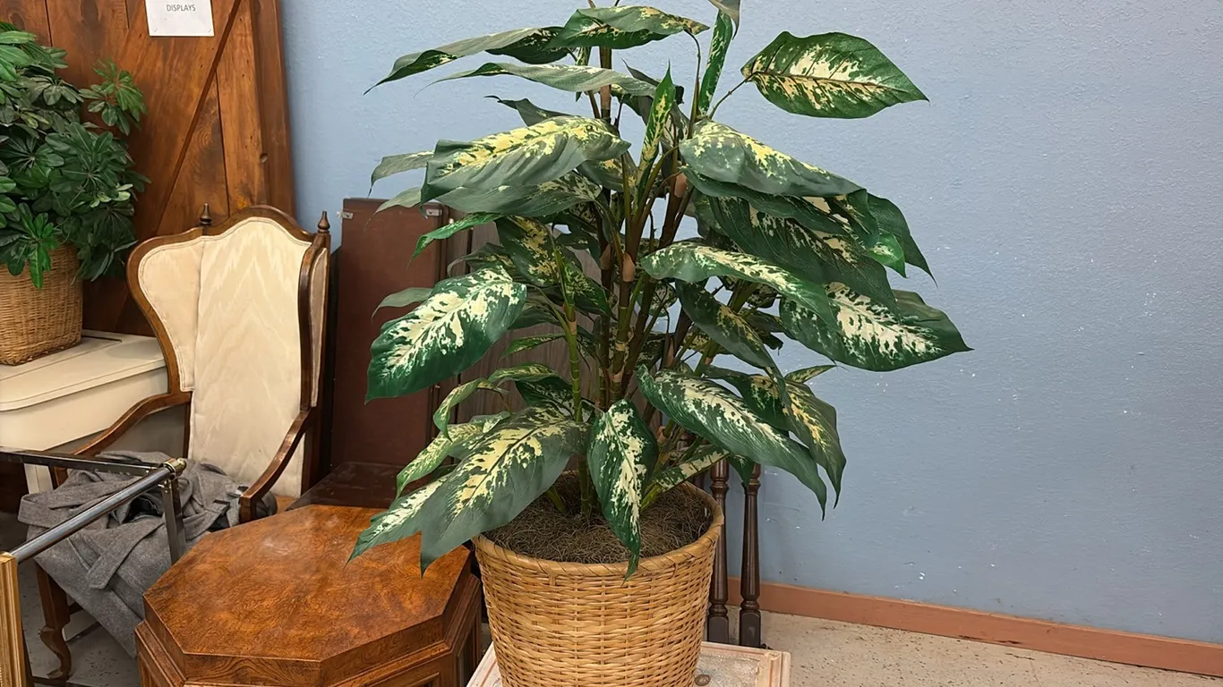 Artifical Plant