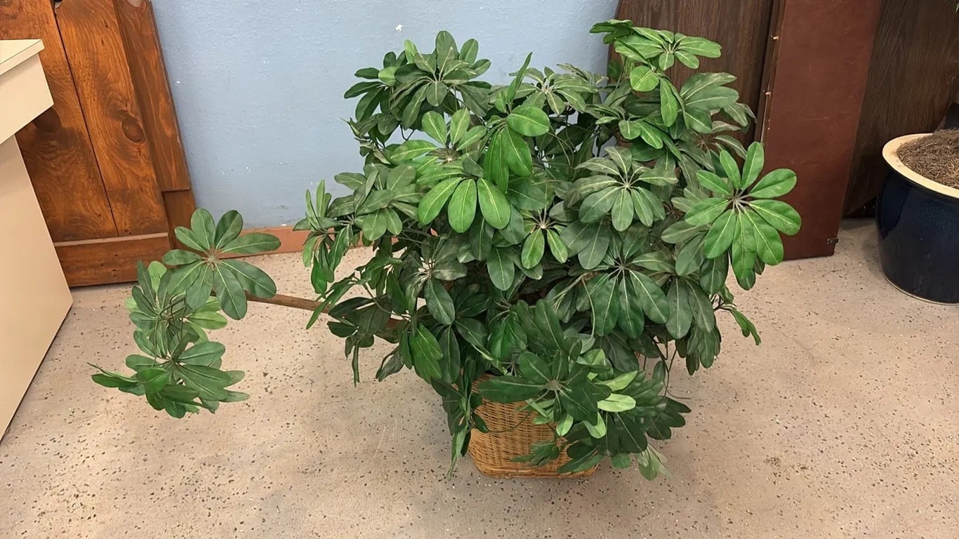 Artifical Plant