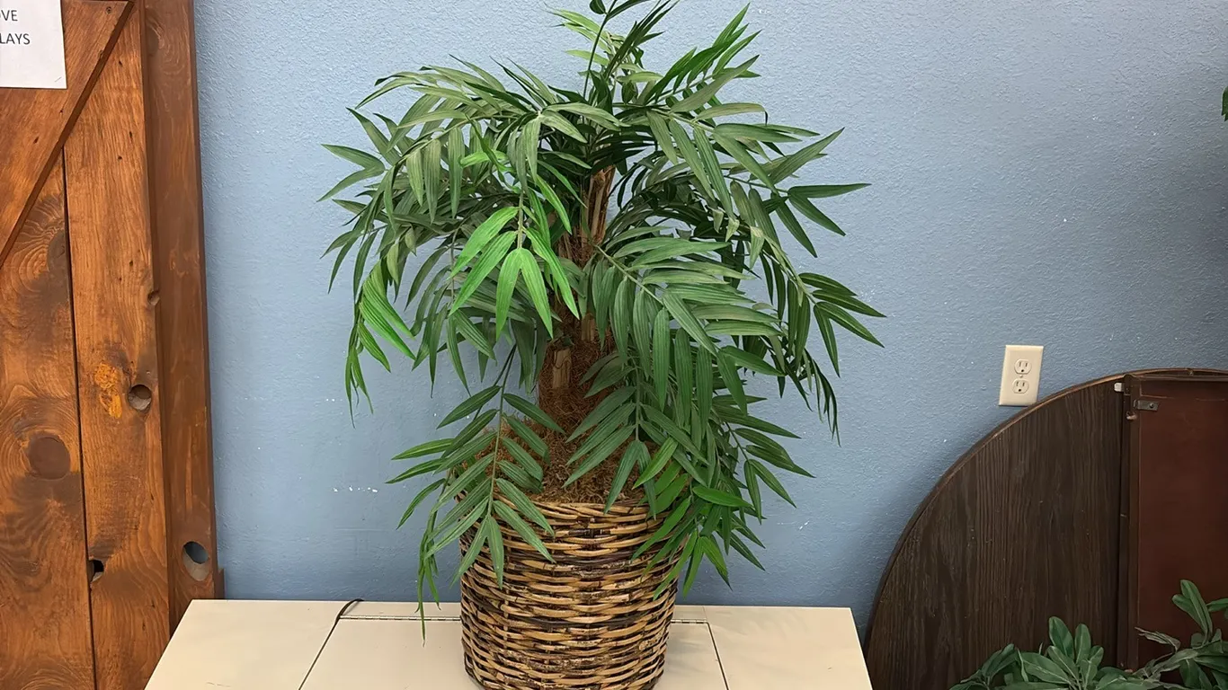 Artifical Plant