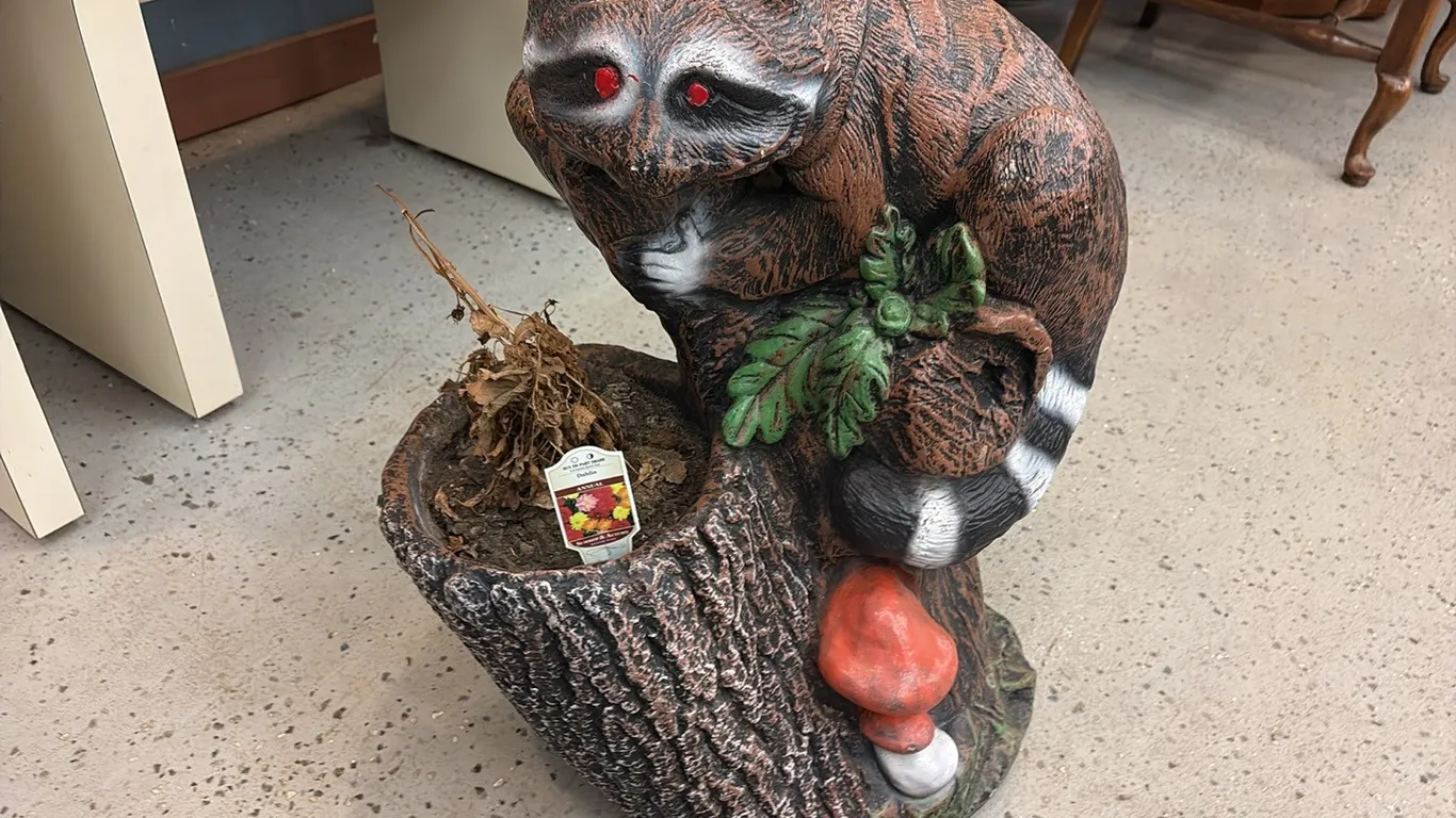 Cement Raccoon Planter