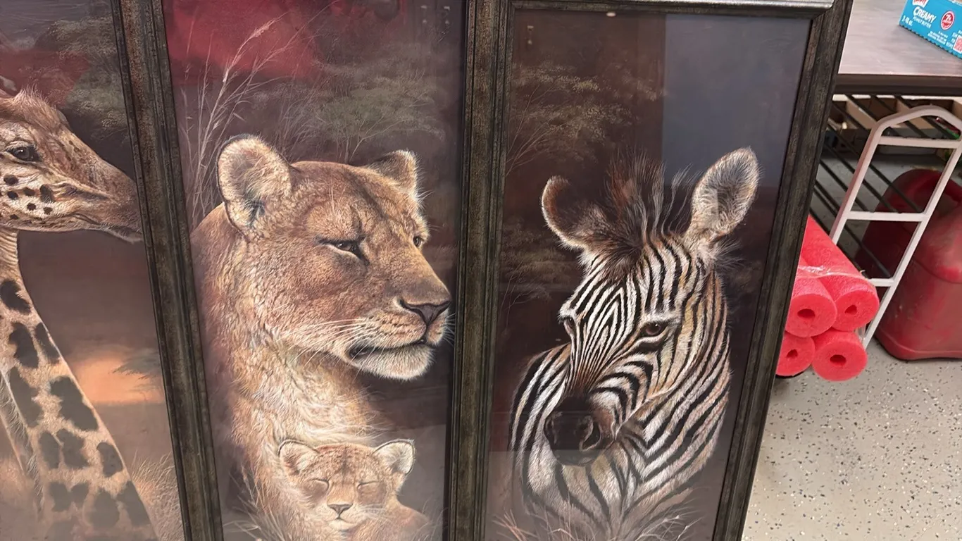Wildlife Picture Set