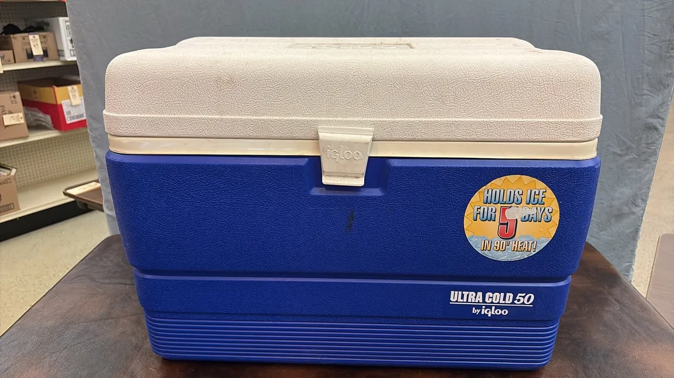 Igloo Cooler