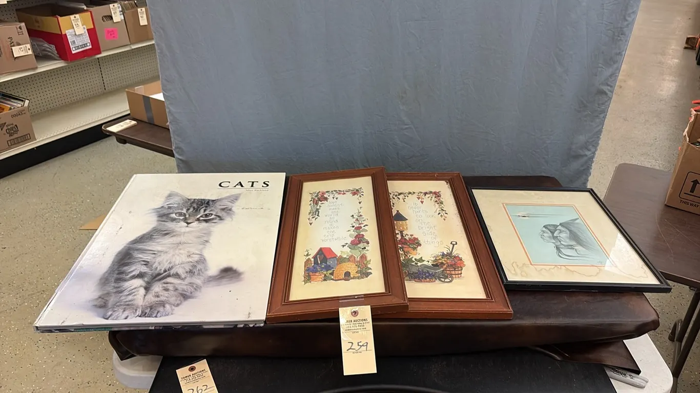 Cats Book & Wall Decor