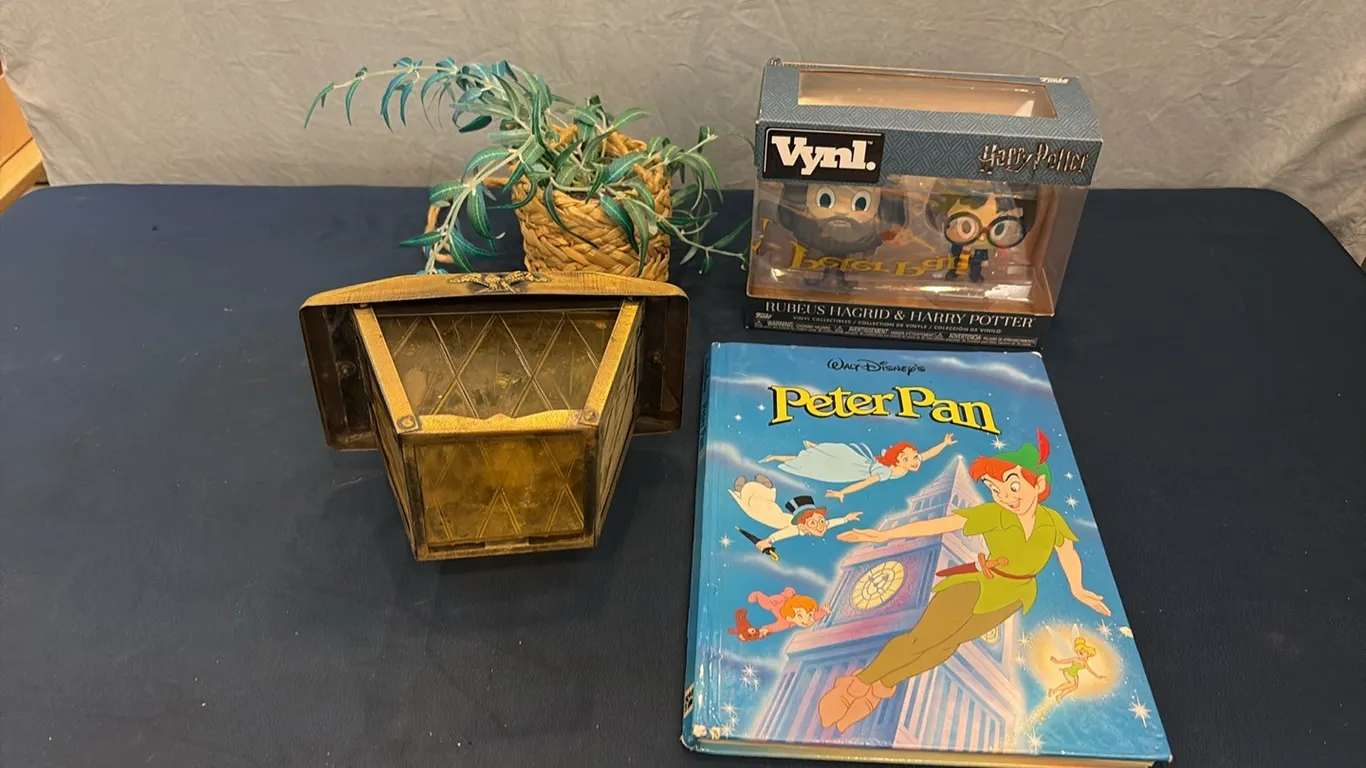 Harry Potter Figures, Peter Pan Book, Light & Plant