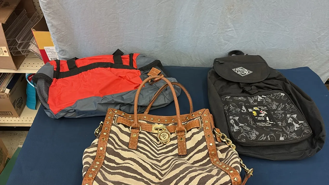 Michael Kors Purse, Looney Tunes Backpack & Bag