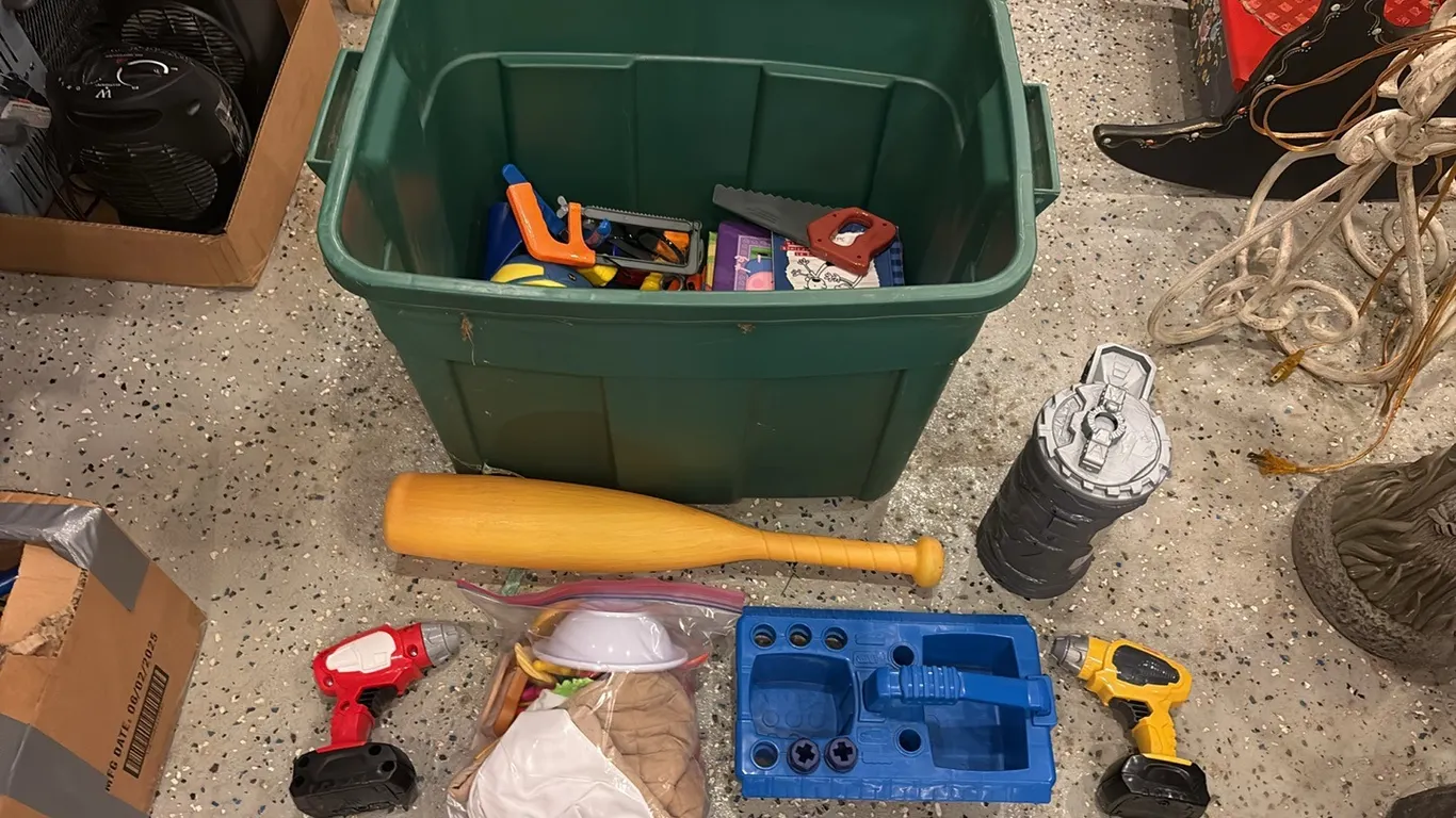 Tote of Books & Kids Toys