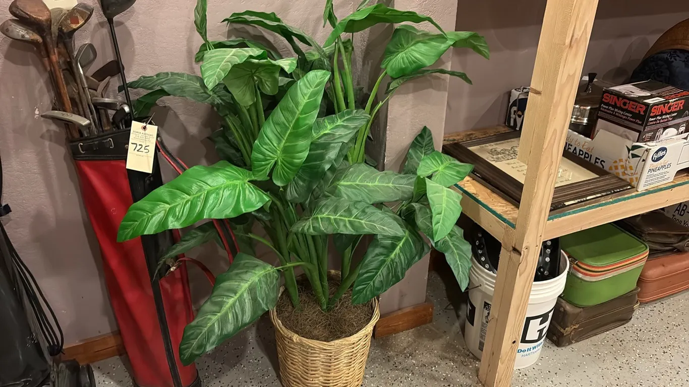 Artifical Plant