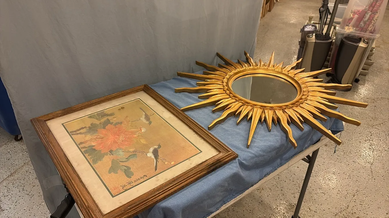 Bird Picture & Sun Mirror