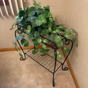 Plant With Stand