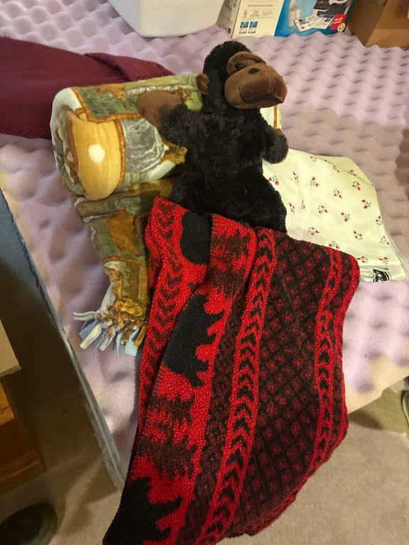 Blankets, Stuff Animal