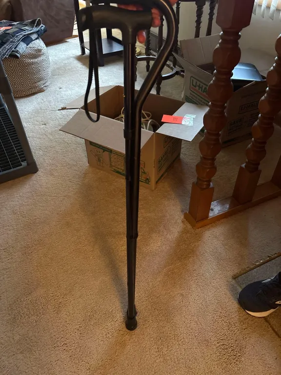2 Canes