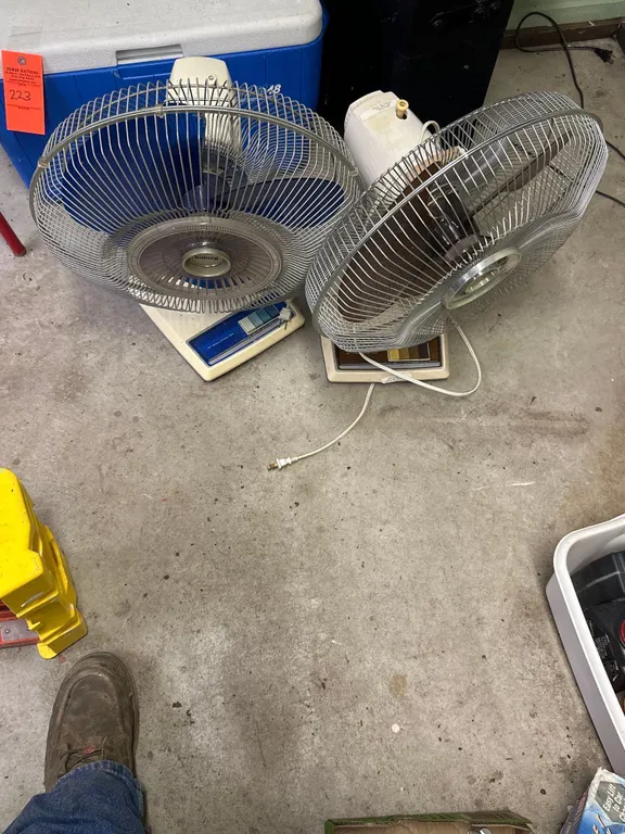 pair of fans