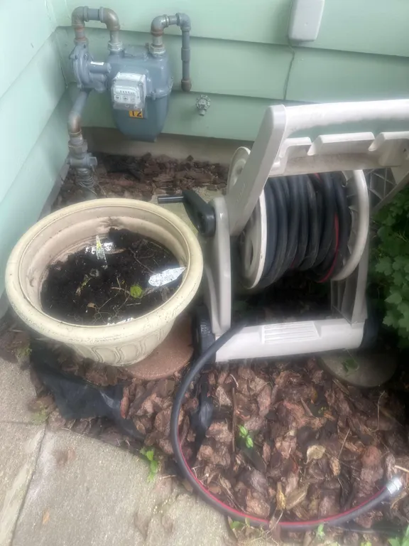 hose real and pot