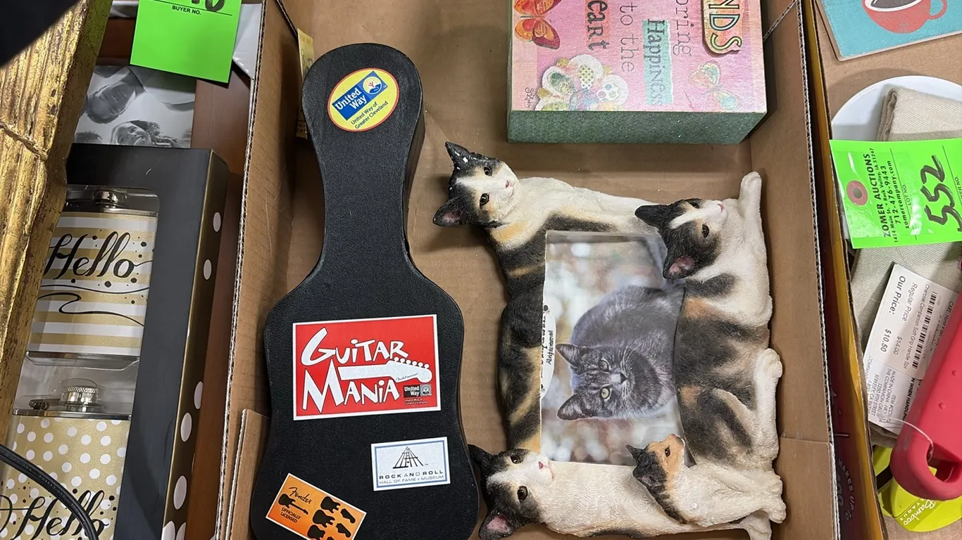 Mini guitar, cat frame, sign