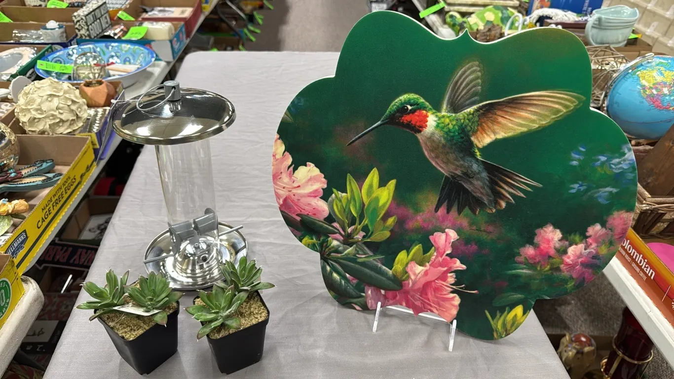 bird feeder, hummingbird sign, plants