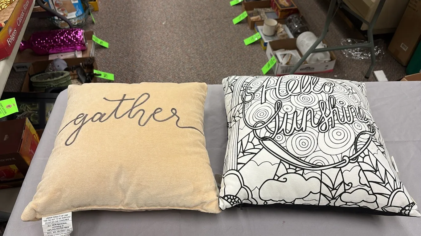 2- Pillows