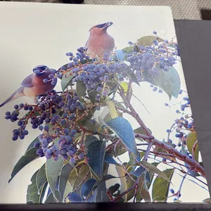 Bird Canvas
