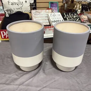 2- Ceramic Vases