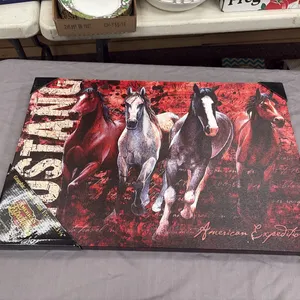 American Expedition Canvas
