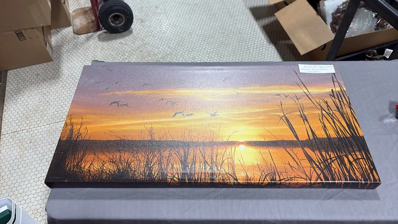 Wild Wings Sunset Silhouettes Canvas