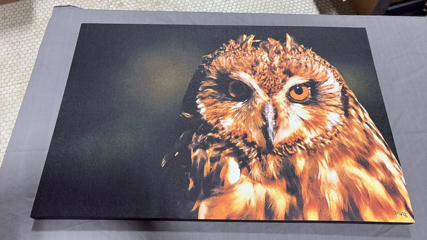 Owl Canvas