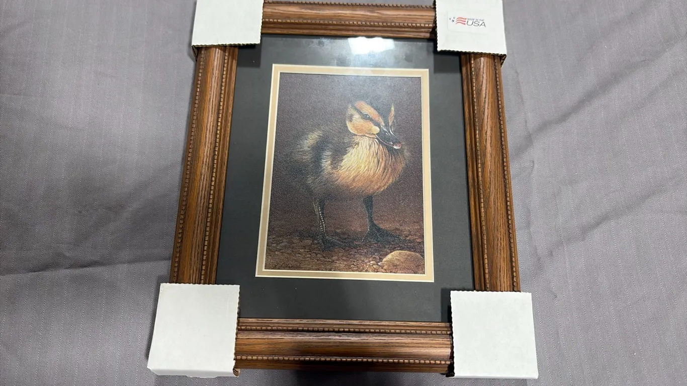 Mini Duckling Picture