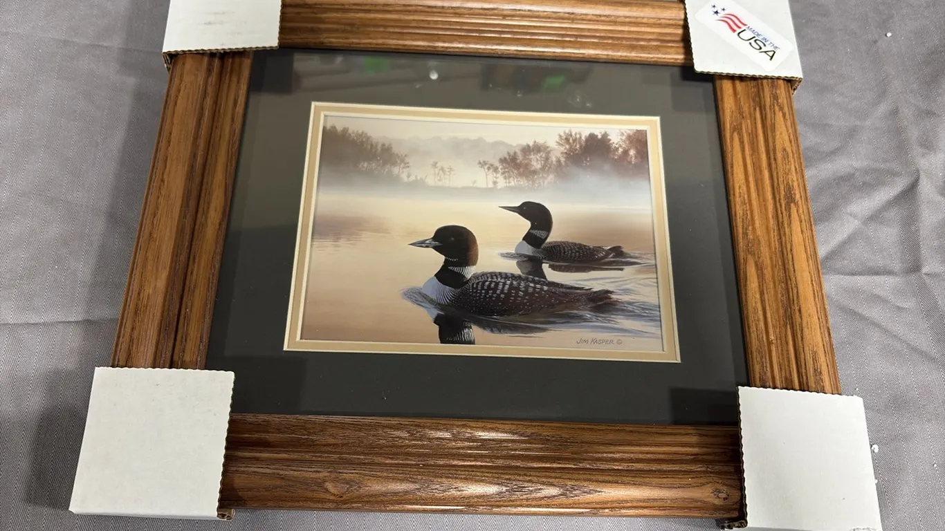 Duck Picture