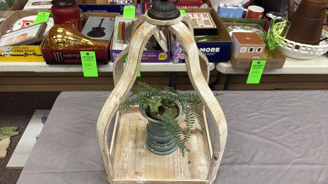 Plant Decor