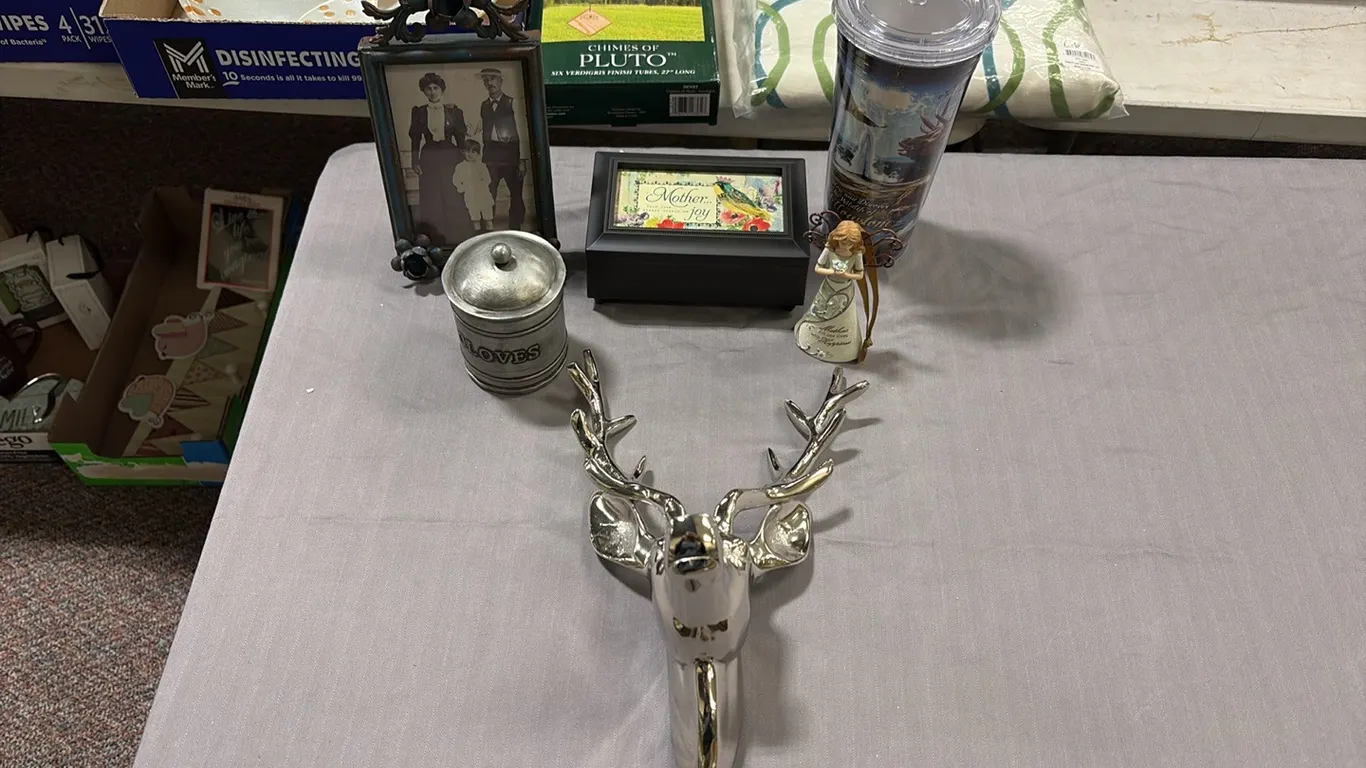 Deer Statue, Music Box, Water Bottle & Decor