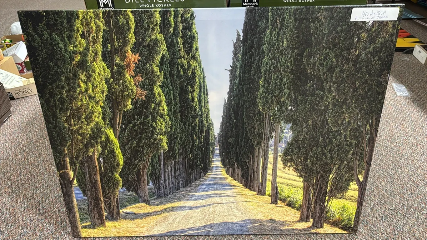 Canvas print