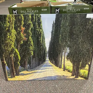 Canvas print