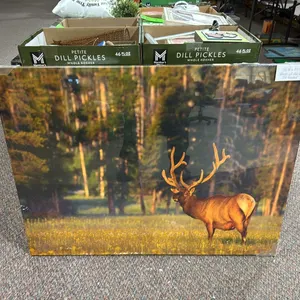Canvas print