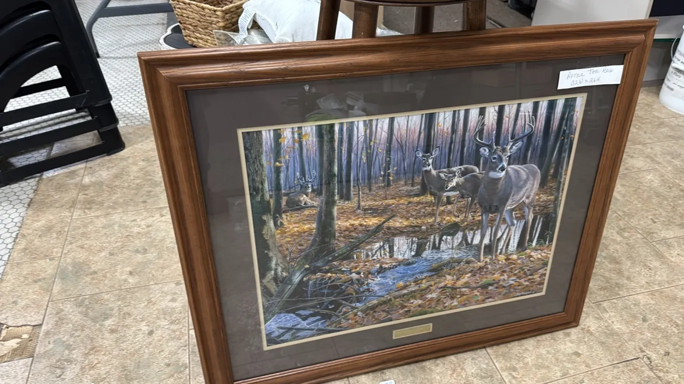 Wildlife print