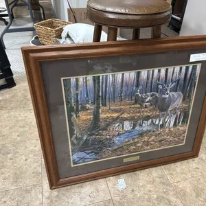 Wildlife print