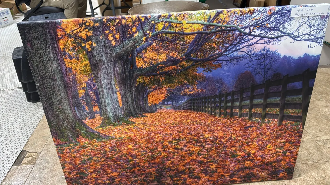 Fall canvas
