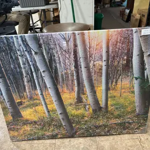 Birch trees canvas