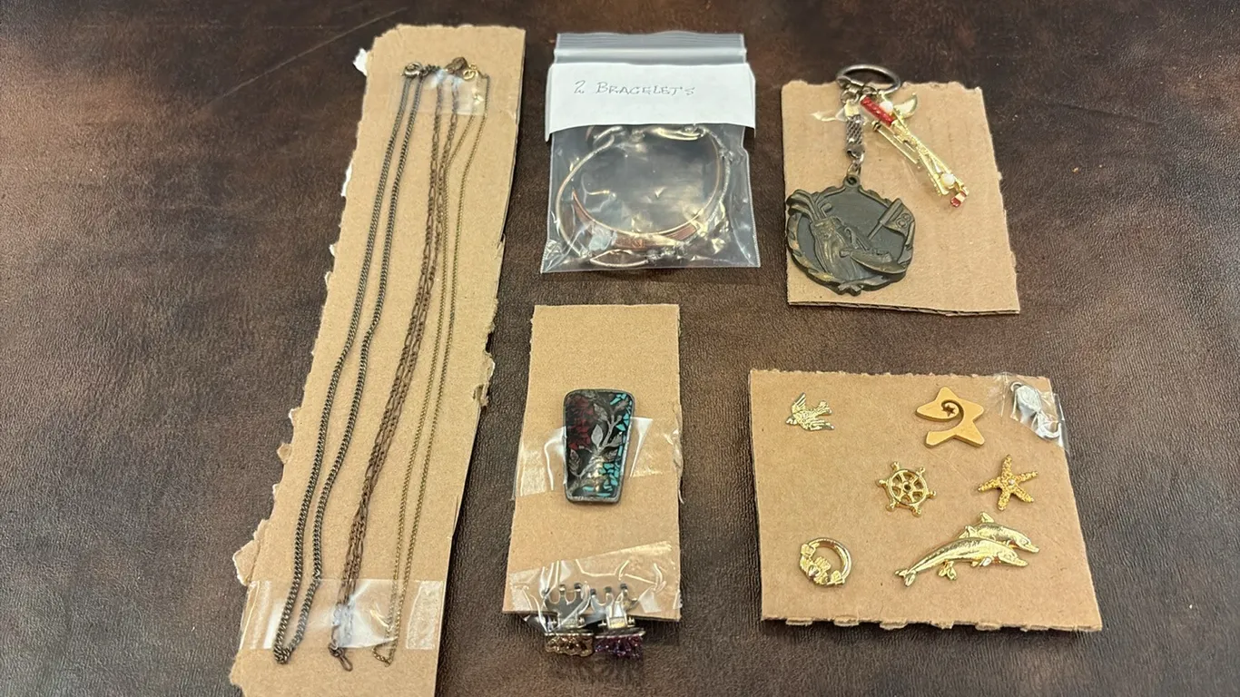 Pins & Jewelry