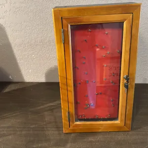 Locking display case