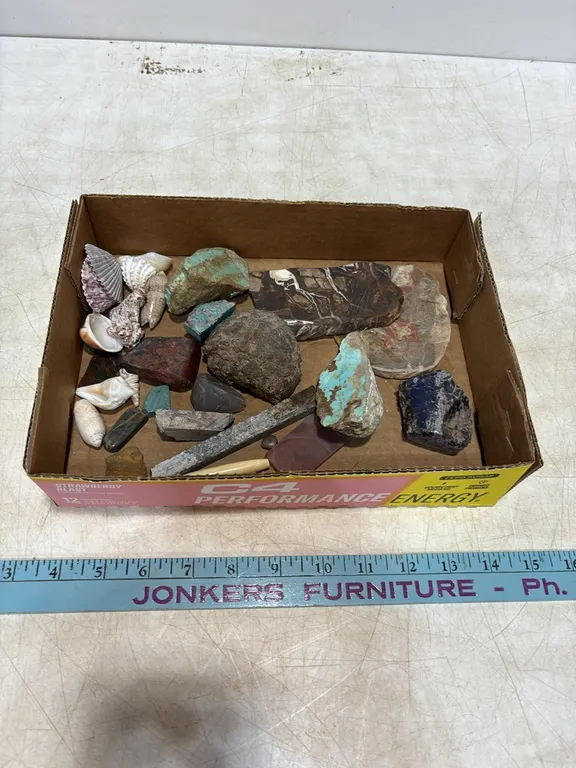 Rocks and Shells
