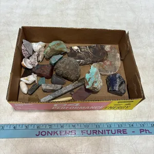 Rocks and Shells