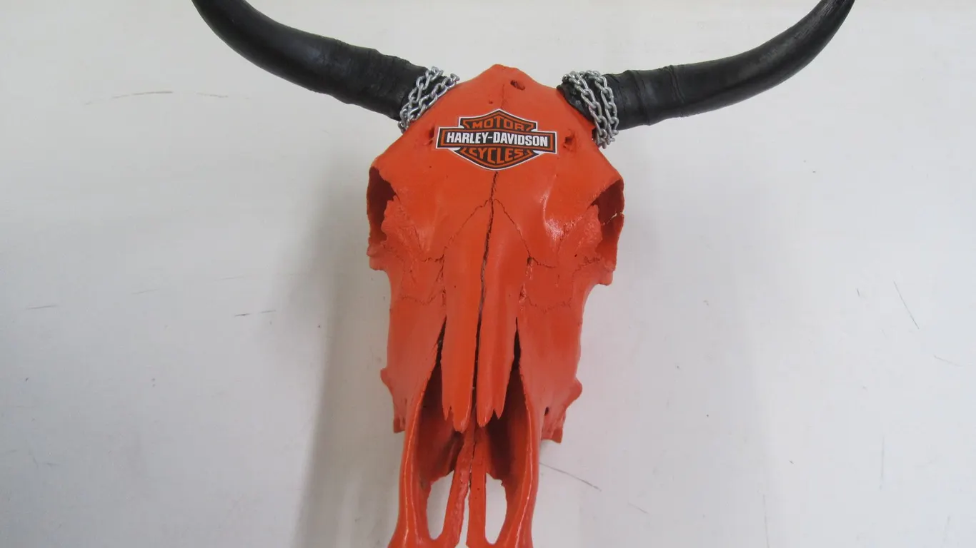 Harley-Davidson Painted Bull Skull