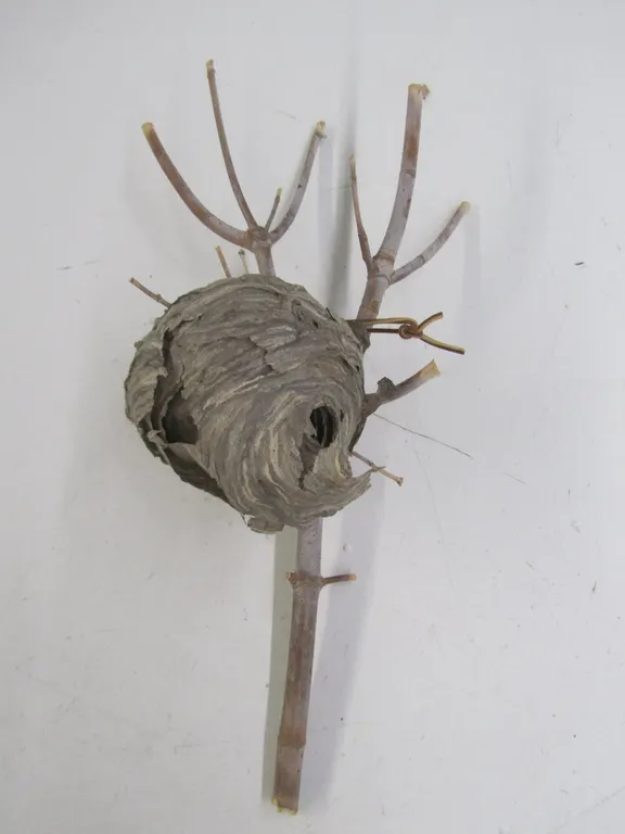 Bee Hive