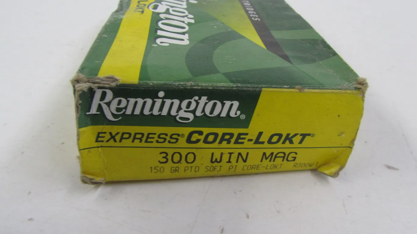 (20) .300 WIN Mag Rounds