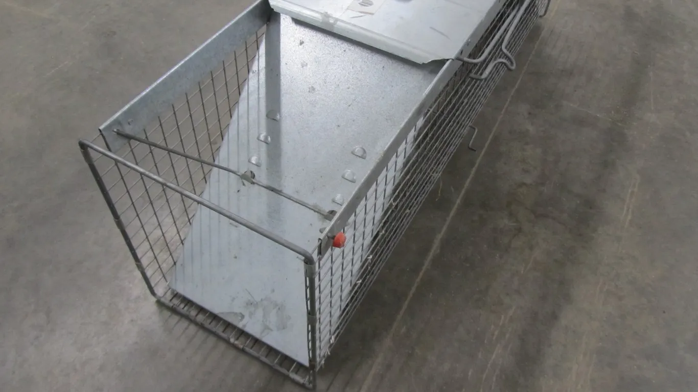 Large Havahart Animal Trap