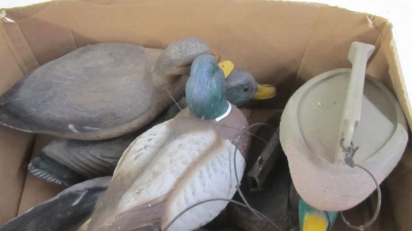 (6) Assorted Duck Decoys